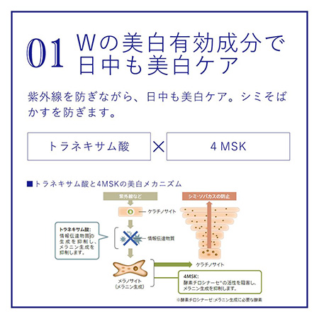 ナビジョンDR　TAホワイトプロテクトUV