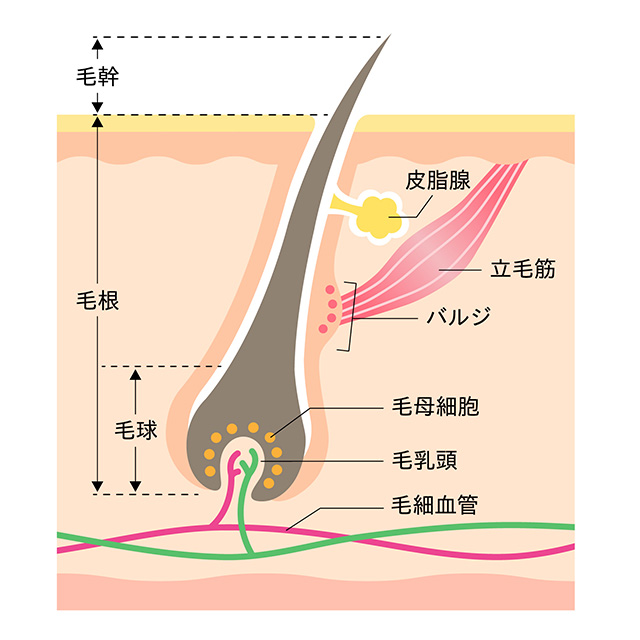 熱破壊式とは