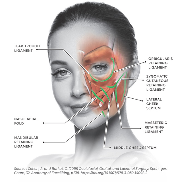 ジャルプロ（Jalupro）