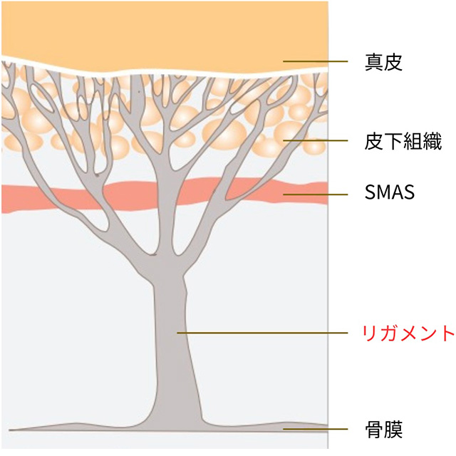 ジャルプロ（Jalupro）