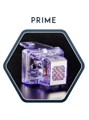 >Morpheus プライム　12pin